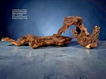 Mopani Aquarium Driftwood Lot 2 Large Aquascape Natural Hardscape Zoo Med. Fixed Price $72.50.