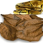 Sungrow Leaf Litter For Snakes, Pcs Medium Count (pack Of 10), Brown. Fixed Price $14.94.