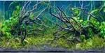 Awert Inches Tropical Fish Tank Background River Bed & 48X24IN/120X60CM. Fixed Price $14.71.