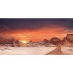 Awert 72X18 Inches Sun And Desert Terrarium Background Orange Reptile Habitat.... Fixed Price $13.50.