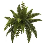 14" Boston Fern Artificial Plant (set Of 6). Fixed Price $79.64.