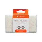 Plain Jane Plant-based Sponges 3 Count By Full Circle Home. Fixed Price $10.44.
