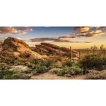 Awert Reptile Habitat Background Blue Sky Oasis Cactus Sun And Desert. Fixed Price $17.74.