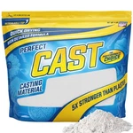 Perfect Mold Casting Powder, Fast-curing, Non-toxic, Water-based Materia.... Fixed Price $41.69.
