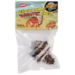 Hermit Crab "growth" Shell - Large 1 Pk. Fixed Price $12.75.
