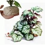 Reptile Tank Plants Terrarium Amphibian Habitat Artificial Decor Base Green. Fixed Price $26.25.