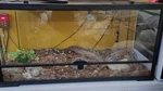 53GAL Glass Reptile Terrarium Enclosure Front-opening Door With Mesh Top.. Fixed Price $105.00.