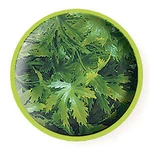 Zoo Med Natural Bush Plant Cannabis. Fixed Price $7.99.