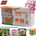New Spagmoss Sphagnum Besgrow Zealand Orchid Plant, Brick Long Fiber.. Fixed Price $29.99.