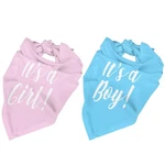 Vercosee It's Boy Girl Gender Reveal/baby 3.9*3.9*0.79 Inches, Pink. Fixed Price $21.04.