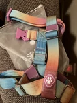 New Spark Paws Comfort Control No-pull Dog Harness Size Pastel Icing. Fixed Price $44.99.
