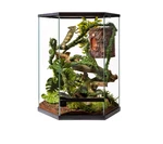 Thrive 20 Gallon Vertical Hexagon Tropical Reptile Terrarium Tank Glass Enclosur. Fixed Price $55.00.