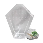 Coffin Shaped Jumping Spider Enclosure 9.5 X7.5 X5 Tarantula Repti.... Fixed Price $34.18.