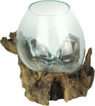 Large Molten Glass Sculptural Bowl / Plant Terrarium On Natural Driftwood Base,. Fixed Price $126.99.
