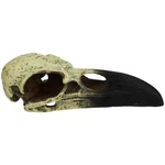 Komodo Raven Skull Hideout Each/lg, 18 In By. Fixed Price $20.44.