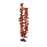Underwater Treasures Red Green Bacopa Plant Select Size:: 20 Inch. Fixed Price $12.89.