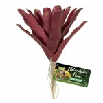 Zoo Med Naturalistic Flora Fireball Bromeliad - For Terrariums Paludariums. Fixed Price $11.19.