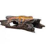 Tfwadmx Leopard Gecko Hide, 10" Reptile Hideout, Resin Simulated Hollow Log F.... Fixed Price $23.31.