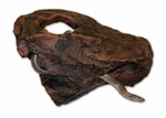 Magnatural Medium Hideaway Earth Pet-tekk. Fixed Price $31.50.