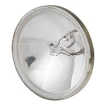 Marinco Guest 22014P Replacement Bulb 22014-P. Fixed Price $110.99.