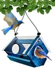 Bluebird Feeder With Steel Mesh Basket And Plexiglass Roof For Backyard. Fixed Price $41.79.