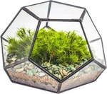 Geometric Half-ball Glass Terrarium With Pentagon Lid Modern Mini Display Box. Fixed Price $43.99.