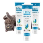 Felisyl L-lysine Gel For Cats (5OZ) Supports Immune, Respiratory, 3 Pack. Fixed Price $79.20.