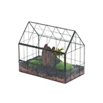 Ncyp Geometric Glass Terrarium With Front Opening Door, House S... Fast Usa Ship. Fixed Price $65.57.