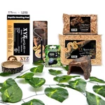 Corn Snake Habitat 10 Gallon Terrarium Baby Starter Kit Xyzreptiles. Fixed Price $49.99.