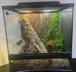 Reptile Enclosure With Hood And Lights Whole Pre Built Insides.. Fixed Price $150.00.