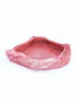 T-rex Hermit Crab Accessory Food & Water Dish Red Rock. Fixed Price $9.99.