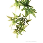 Exo Terra Plastic Croton Plant. Fixed Price $8.49.