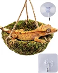 Handmade Reptile Hammock Gecko, Bearded Dragon, Snake & Small Pet Tank Decor. Fixed Price $23.77.