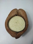 Citronella Candle In Coconut Husk Tropicana New Luau Island Decor. Fixed Price $11.00.