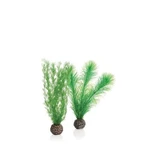Biorb Feather Fern Green Small. Fixed Price $14.89.