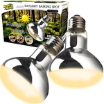 Reptiking Reptile Heat Lamp Bulbs, 2 Value Pack, Daylight 100W, White. Fixed Price $14.75.
