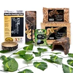 Ball Python Snake Habitat 10 Gallon Terrarium Baby Starter Kit Xyzreptiles. Fixed Price $49.99.