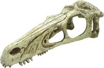 Komodo Raptor Skull - Xlarge. Fixed Price $29.99.