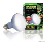 Exo Terra Daylight Basking Spot 75 Watt PT-2132 Open Box Tested/repackaged. Fixed Price $12.11.