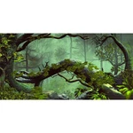 Awert 48X20 Inches Foggy Forest Terrarium Background Stone Green Tree Tropica.... Fixed Price $15.36.
