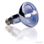 Exo Terra Halogen Basking Spot Bulb - 25 Watt 150. Fixed Price $18.99.