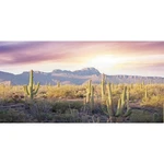 Awert Reptile Habitat Background Blue Sky Oasis Mountain 48X18IN/120X45CM. Fixed Price $13.38.