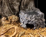Exo Terra Wetrock Corner Cave Medium 18 13 9.5 Cm New. Fixed Price $17.62.