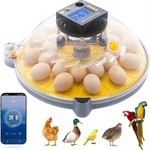 Smart 12 Egg Incubator With Auto-turn, Temp/humidity Control & App/bluetooth. Fixed Price $49.00.