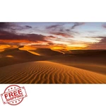 Riivvdise Reptile Habitat Background Sahara Sunset Dunes Tank 72X24IN. Fixed Price $20.00.