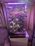 Exo Glass Terrarium. Fixed Price $400.00.