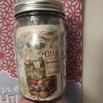 Portland Terrarium Kit - Diy Mason Jar. Fixed Price $33.33.