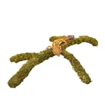 Leopard Gecko Tank Accessories Adjustable Climbing Toys Supplies Terrarium Ha.... Fixed Price $19.41.
