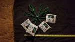 Lot Of 4 Hagen Easy Catch Nets For Aquariums - Nos. Fixed Price $25.00.