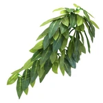 Slson Reptile Plants Hanging Silk Terrarium With Suction Cup For Bearde.... Fixed Price $13.23.